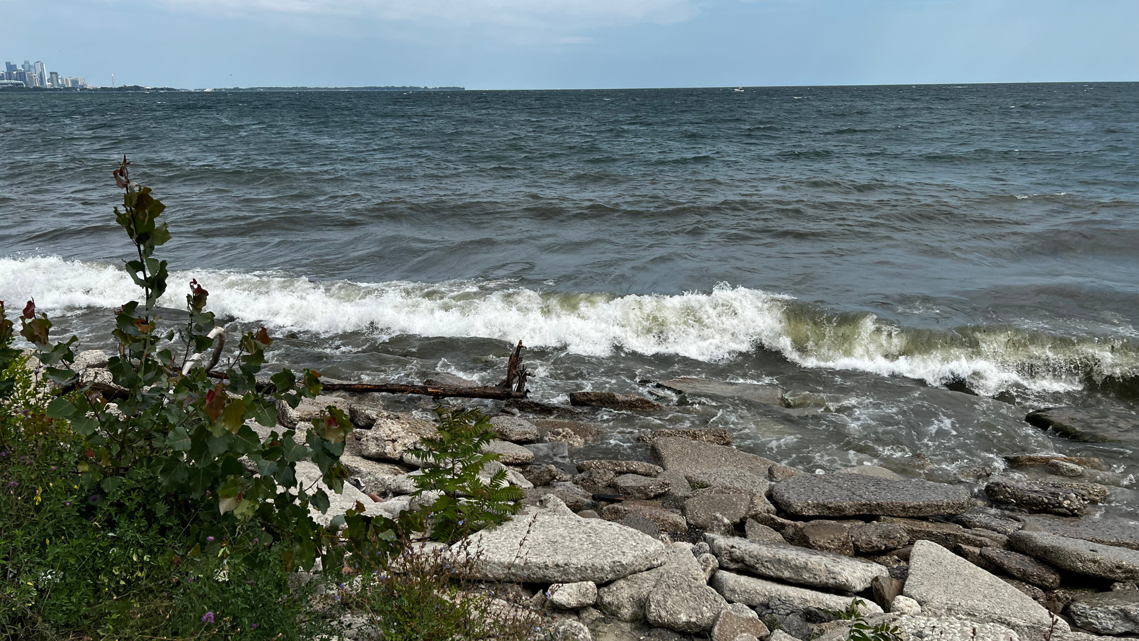 Artist chat about creating a series 🎨